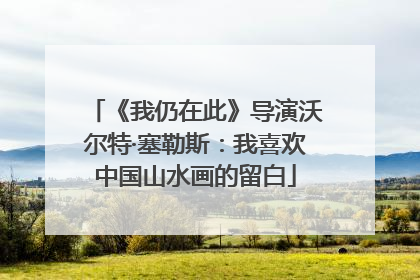 《我仍在此》导演沃尔特·塞勒斯：我喜欢中国山水画的留白
