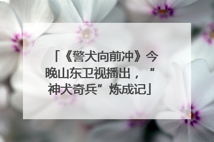 《警犬向前冲》今晚山东卫视播出，“神犬奇兵”炼成记