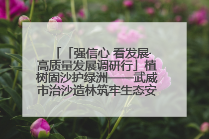 「强信心 看发展·高质量发展调研行」植树固沙护绿洲——武威市治沙造林筑牢生态安全屏障见闻