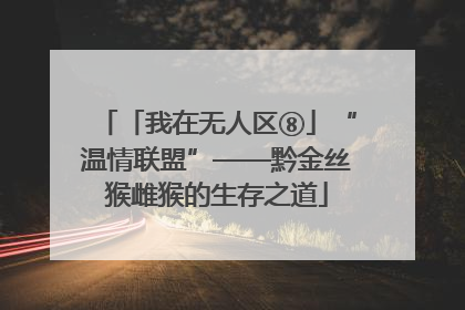 「我在无人区⑧」“温情联盟”——黔金丝猴雌猴的生存之道