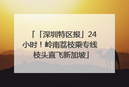 「深圳特区报」24小时！岭南荔枝乘专线 枝头直飞新加坡