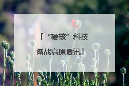 “硬核”科技备战高原夏汛