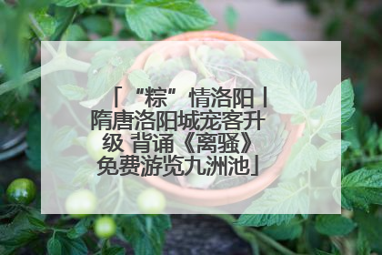“粽”情洛阳丨隋唐洛阳城宠客升级 背诵《离骚》免费游览九洲池