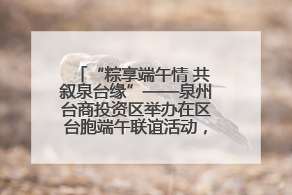 “粽享端午情 共叙泉台缘”——泉州台商投资区举办在区台胞端午联谊活动，共话同源深情