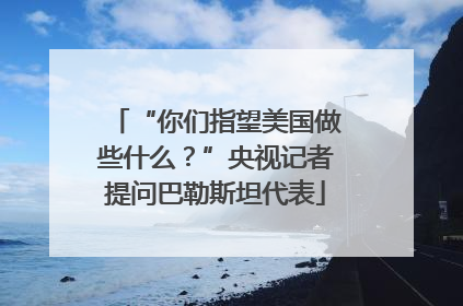 “你们指望美国做些什么？”央视记者提问巴勒斯坦代表