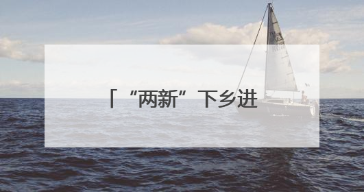 “两新”下乡进村 激活农村市场消费新活力