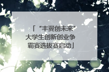 “丰翼创未来”大学生创新创业争霸赛选拔赛启动