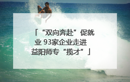 “双向奔赴”促就业 93家企业走进益阳师专“揽才”