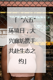 “六五”环境日，大兴廊坊携手共赴生态之约