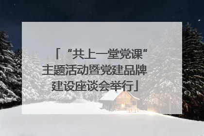 “共上一堂党课”主题活动暨党建品牌建设座谈会举行