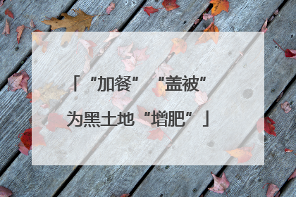 “加餐”“盖被” 为黑土地“增肥”