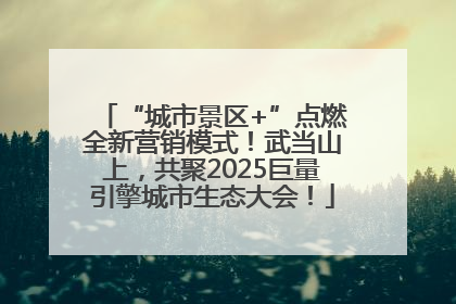 “城市景区+”点燃全新营销模式！武当山上，共聚2025巨量引擎城市生态大会！