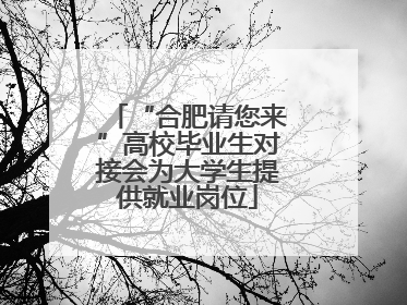 “合肥请您来”高校毕业生对接会为大学生提供就业岗位