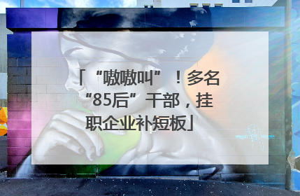 “嗷嗷叫”！多名“85后”干部，挂职企业补短板
