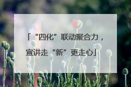 “四化”联动聚合力，宣讲走“新”更走心