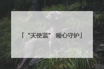 “天使蓝” 暖心守护