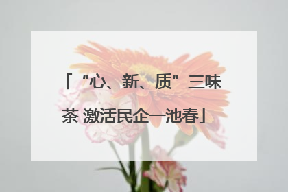 “心、新、质”三味茶 激活民企一池春