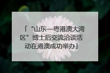 “山东—粤港澳大湾区”博士后交流洽谈活动在港澳成功举办