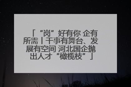 “岗”好有你 企有所需丨干事有舞台、发展有空间 河北国企抛出人才“橄榄枝”