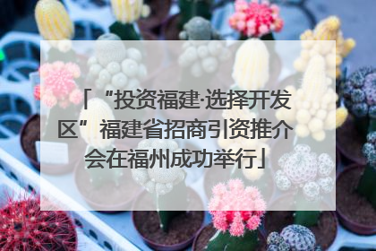 “投资福建·选择开发区”福建省招商引资推介会在福州成功举行