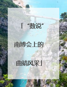“数说”南博会上的曲靖风采