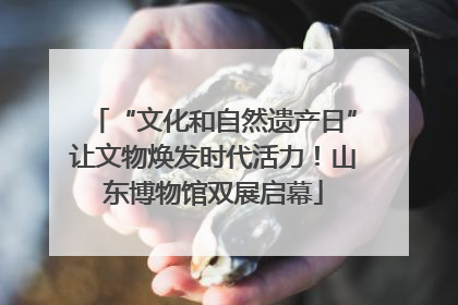 “文化和自然遗产日”让文物焕发时代活力！山东博物馆双展启幕
