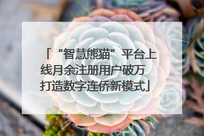 “智慧熊猫”平台上线月余注册用户破万 打造数字连侨新模式