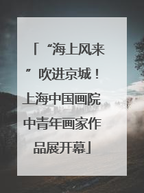 “海上风来”吹进京城！上海中国画院中青年画家作品展开幕