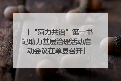 “菏力共治”第一书记助力基层治理活动启动会议在单县召开