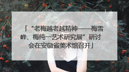 “老梅越老越精神——梅雪峰、梅纯一艺术研究展”研讨会在安徽省美术馆召开