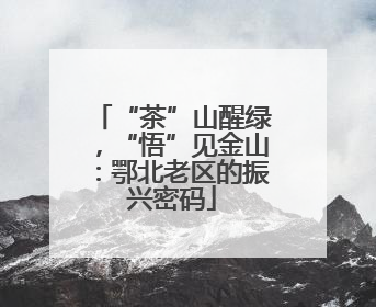 “茶”山醒绿，“悟”见金山：鄂北老区的振兴密码