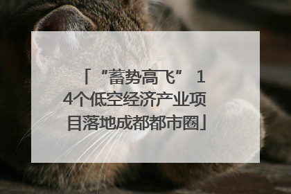 “蓄势高飞” 14个低空经济产业项目落地成都都市圈