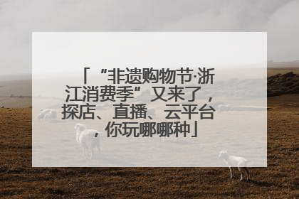 “非遗购物节·浙江消费季”又来了，探店、直播、云平台，你玩哪哪种