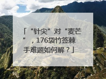 “针尖”对“麦芒”，176袋竹签棘手难题如何解？