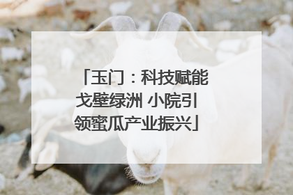 玉门：科技赋能戈壁绿洲 小院引领蜜瓜产业振兴