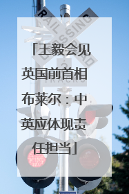 王毅会见英国前首相布莱尔：中英应体现责任担当