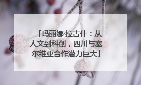 玛丽娜·拉古什：从人文到科创，四川与塞尔维亚合作潜力巨大