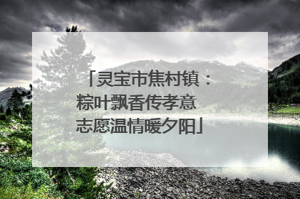 灵宝市焦村镇：粽叶飘香传孝意 志愿温情暖夕阳