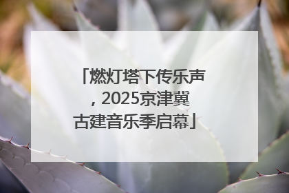 燃灯塔下传乐声，2025京津冀古建音乐季启幕