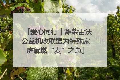 爱心同行丨潍柴雷沃公益机收联盟为特殊家庭解燃“麦”之急
