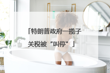 特朗普政府一揽子关税被“叫停”