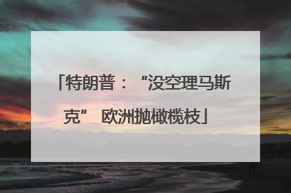 特朗普：“没空理马斯克” 欧洲抛橄榄枝