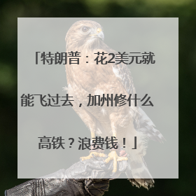 特朗普：花2美元就能飞过去，加州修什么高铁？浪费钱！