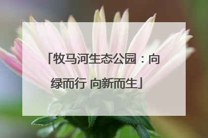 牧马河生态公园：向绿而行 向新而生