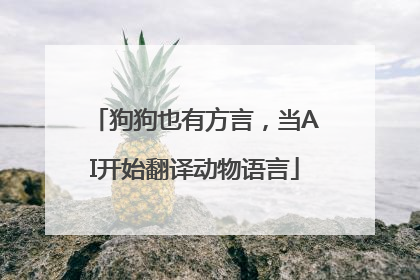 狗狗也有方言，当AI开始翻译动物语言