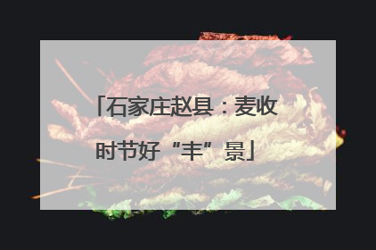 石家庄赵县：麦收时节好“丰”景