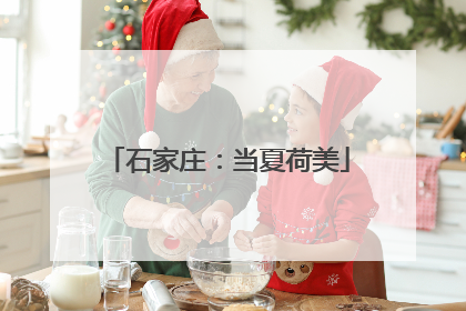 石家庄：当夏荷美