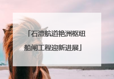 石澧航道艳洲枢纽船闸工程迎新进展