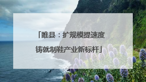 睢县：扩规模提速度 铸就制鞋产业新标杆