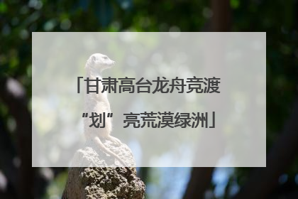 甘肃高台龙舟竞渡“划”亮荒漠绿洲
